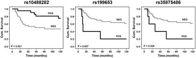 Polymorphic variants of IGF2BP3 and SENCR have an impact on predisposition and/or progression of Ewing sarcoma